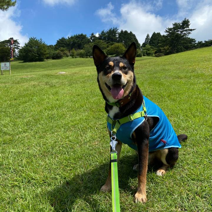 0910e599 4b06 4b51 8633 23533ffbf199 1597464875776