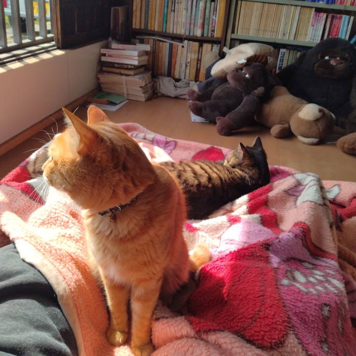 09110c8c 241a 4451 b269 6f23da9ebe58 1678599973745