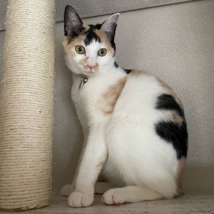 091164bd 5e25 41a4 8630 23342fc999f0 1686621920146