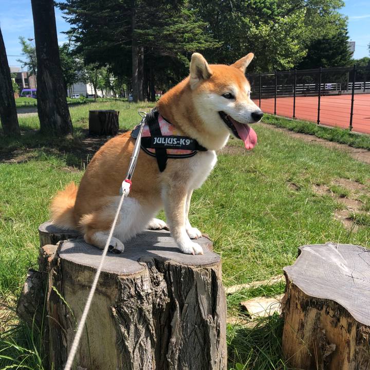 09118143 8765 4dbe 99c1 ab1d8cc4747a 1531372029689