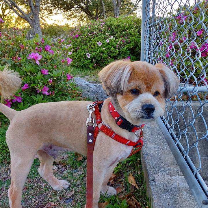 0911a1ca 723f 421c a928 78c36d3fa635 1617703338315