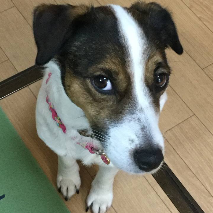 0911bd87 f89a 43f5 844b 3dc27456030d 1513982870709