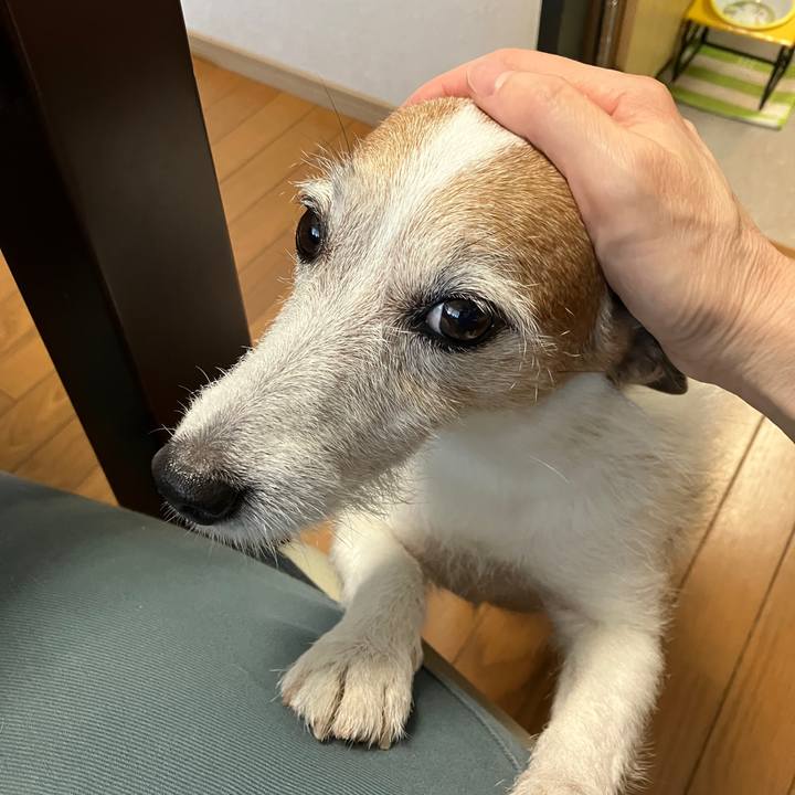 09128342 1641 4d54 8f90 e51cc3437fca 1723764045054