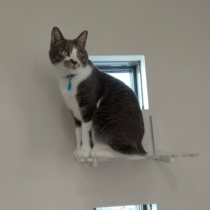 091289c2 6fb9 47cb ad87 bce1a3d9f1fb 1641804123003