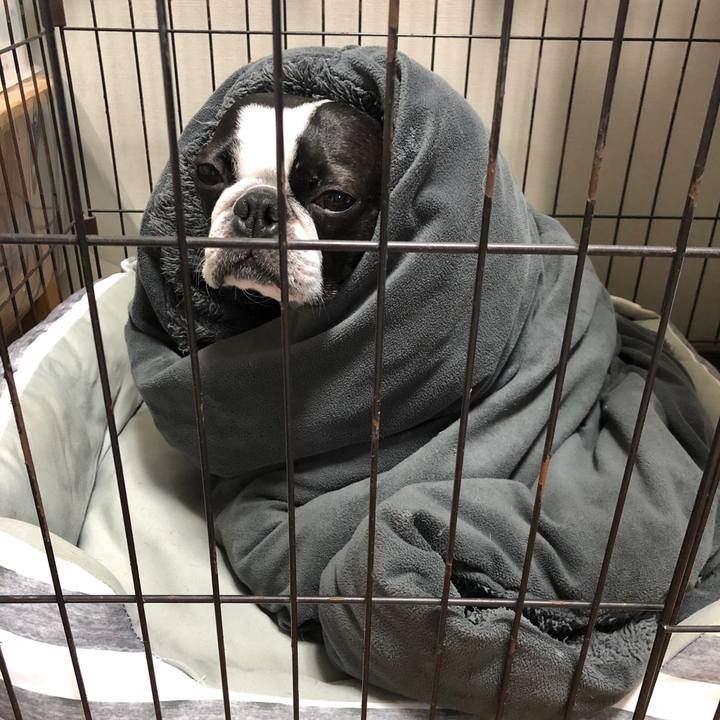 0912c8ac 2f9d 44dd 8a9f 6194e42dceca 1666572346752