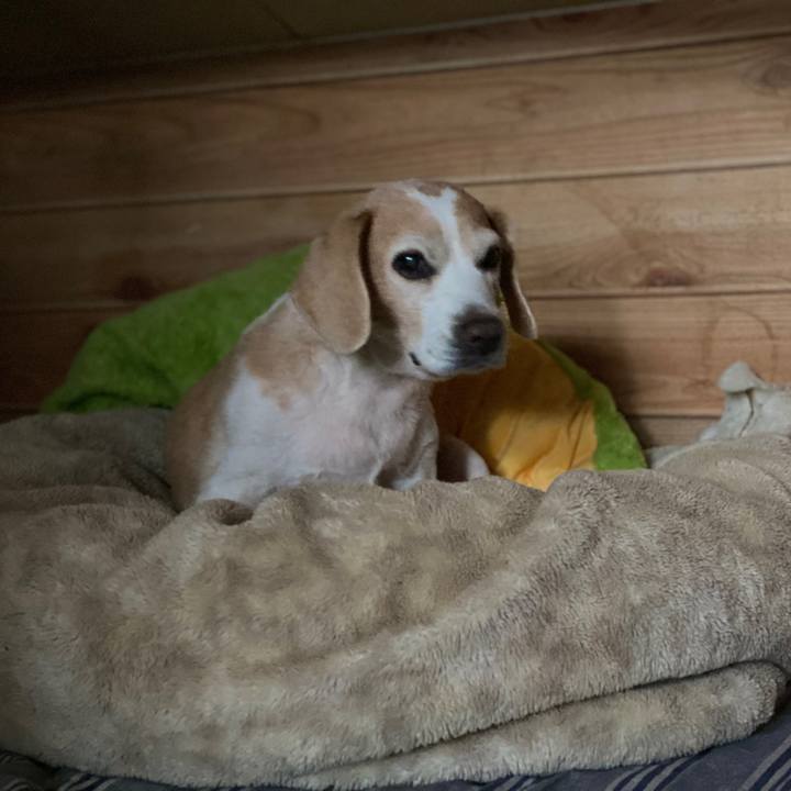 0912dbdb b1e0 4109 97be f2f092b31399 1589597861341