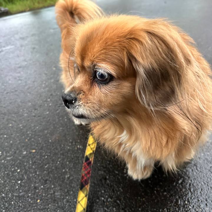 09130f72 5aa0 451a 8d9c 570aea8b70c6 1761084244353