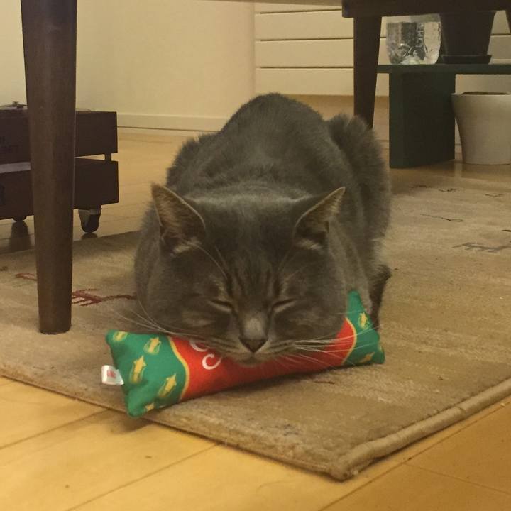 0913478e 99c4 499b a263 e96696d29402 1514118519668