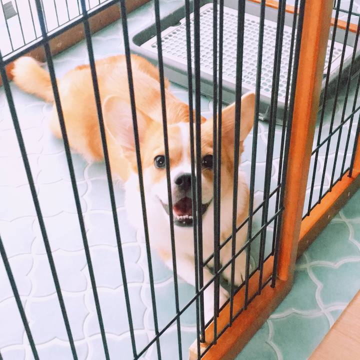 09135681 4716 4c25 83dc 4774e188e7f2 1566872188051