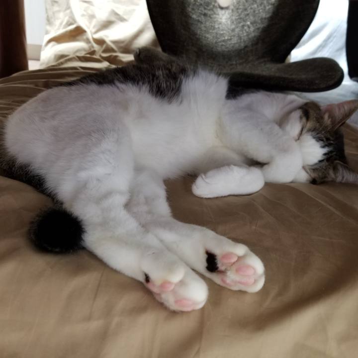 0913944c bed3 4912 ab86 c571ddd29d71 1608759781810