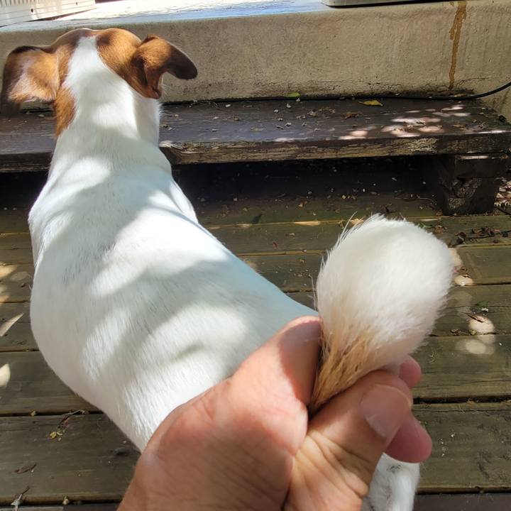 091394ae ea11 4a2f 9bca 2fc980a5af3c 1723275661832