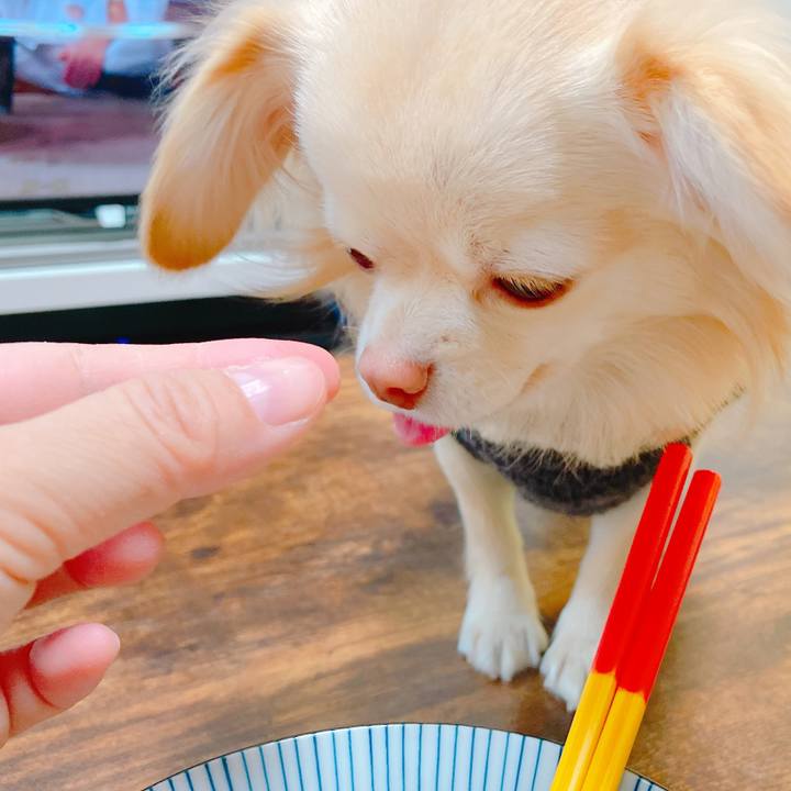 0913fd40 a4a2 4828 9993 7362d651452e 1641529675545