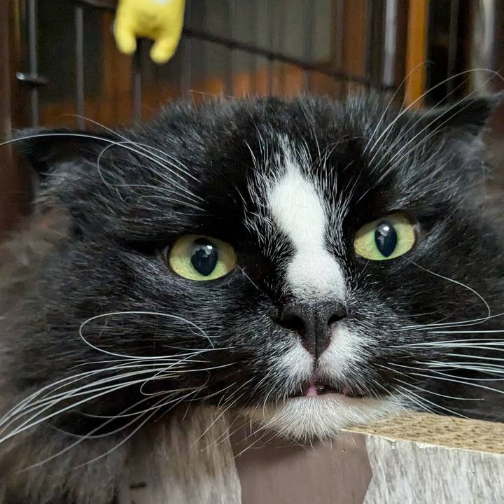 09142221 91a6 475c 8824 a2fb3276b2ff 1730707518389