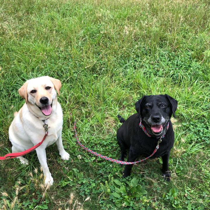 09143f81 8422 45d8 b495 c10ce0286b88 1592705148766