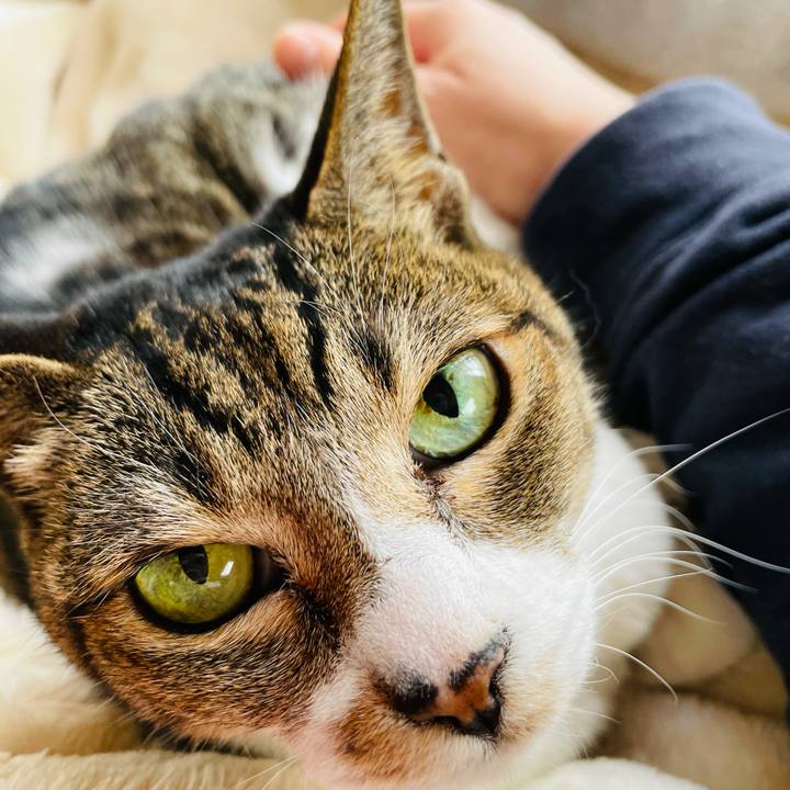 09143fca dea4 4764 81cb 01d942fe6f94 1614994669405