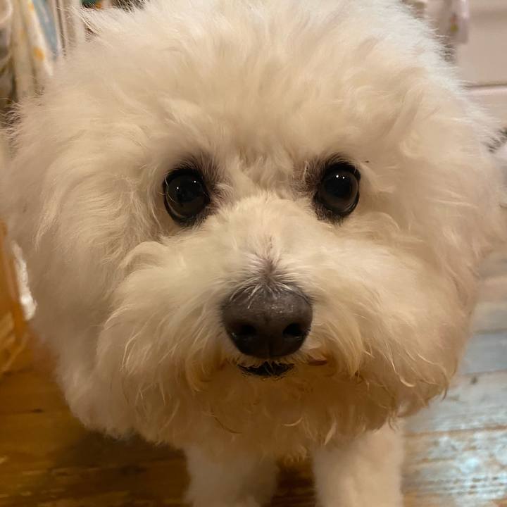 09145caa f44a 49e3 a642 f4347707a42c 1605278112605