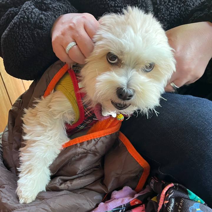 091491d8 ef8a 4be9 995b e94307c25a7e 1775226236155