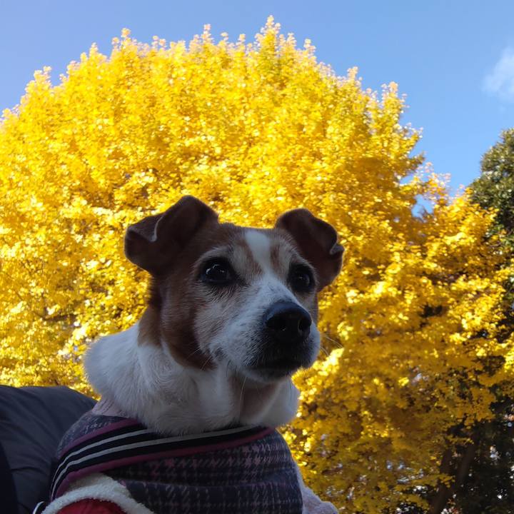 09149d11 40ac 458c 855a 442b8a1d1f10 1764385533938