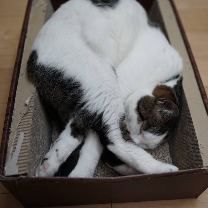 0914a0d8 8168 4182 8484 ed21a1acd6c5 1559518297306