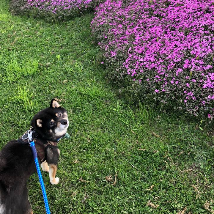 0914b772 aa6a 4b3f ac23 95db48be039b 1526266141091