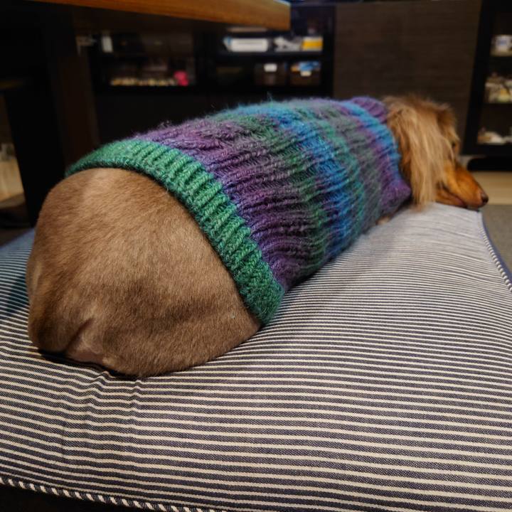 0914cf20 5825 436d 8d71 6d234737c9c8 1671352536042