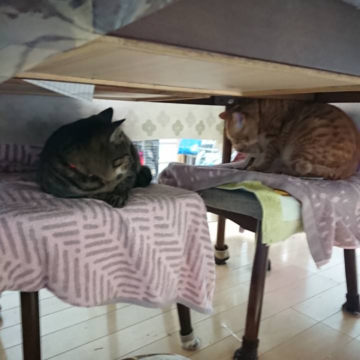 0914eaac 4889 46b9 b280 b20baf131bcf 1641415640882