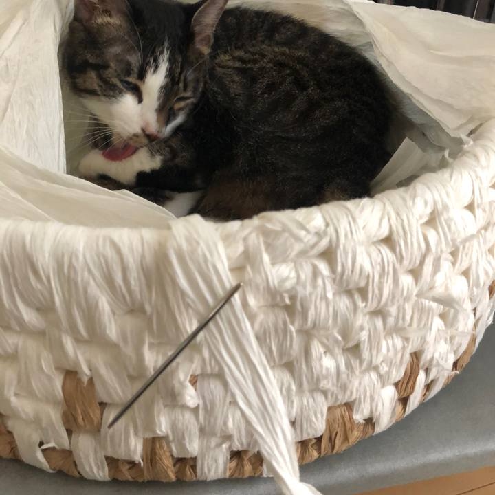 091545db cc7d 45cf 9a95 e9d7535de330 1566266689361