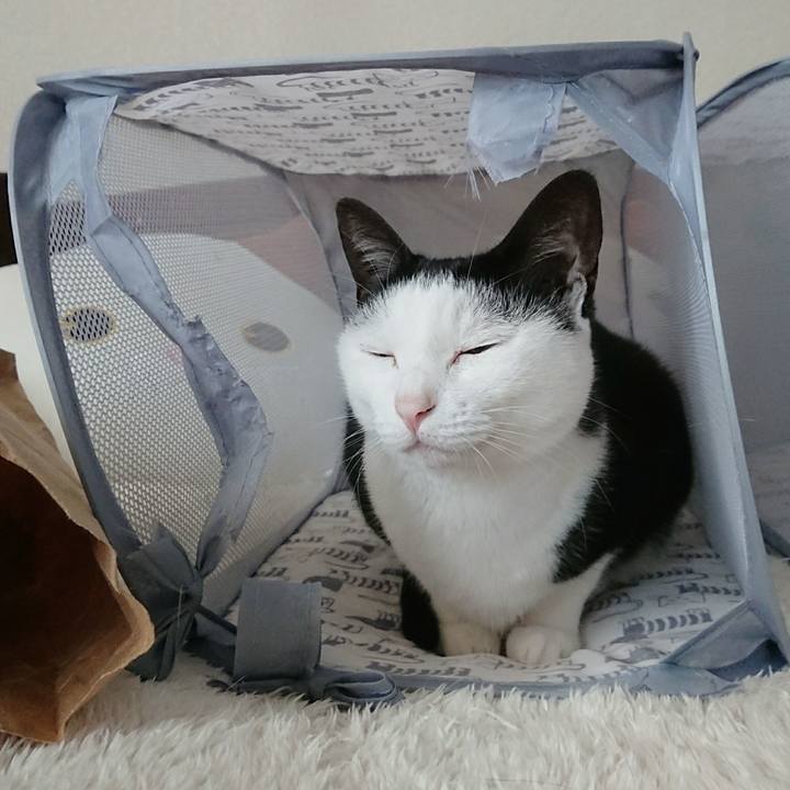 09155c50 a11e 4118 a97f 2219286bf69c 1510113964073