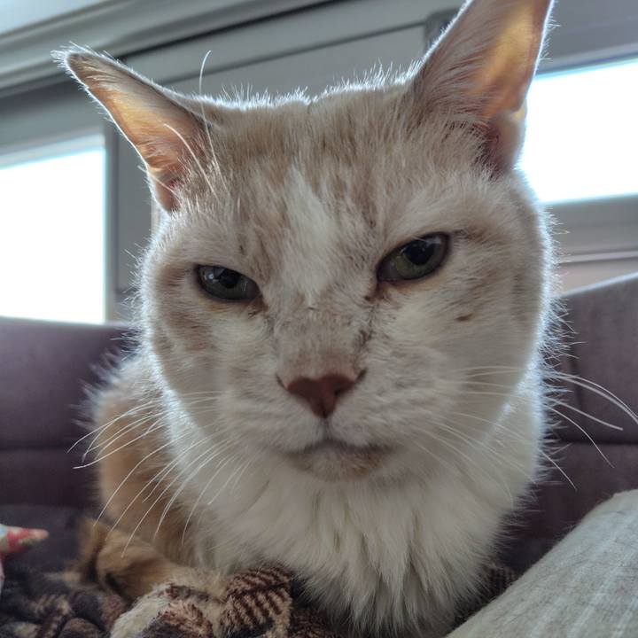 09159b98 2858 433b 90e1 7353ce48eb75 1739750271434