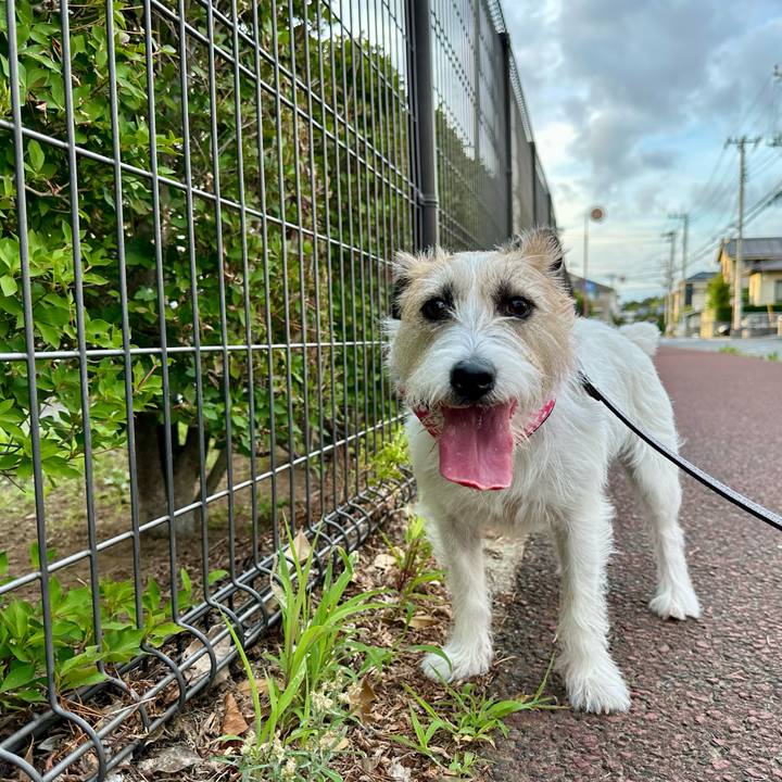 0915ad13 c696 4357 94ce 989b1bc0d20c 1750509628599