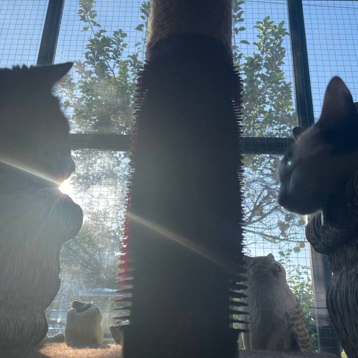 0915ce7d 1031 4ebc 84cd ff4eca6ba8fa 1697149584030