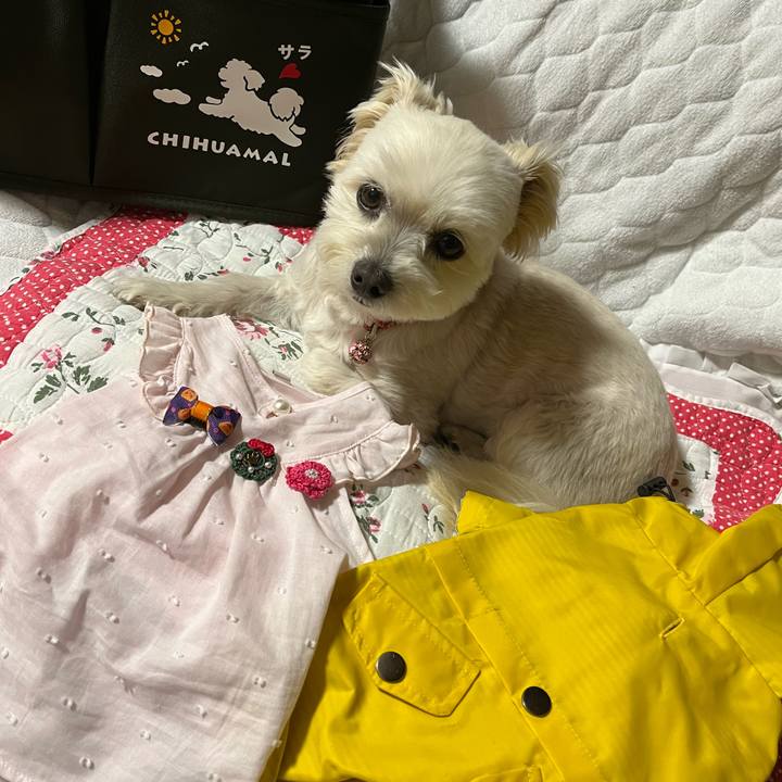 0915eae2 6b1b 4d6d afd0 f9e1f25c50aa 1652529566270