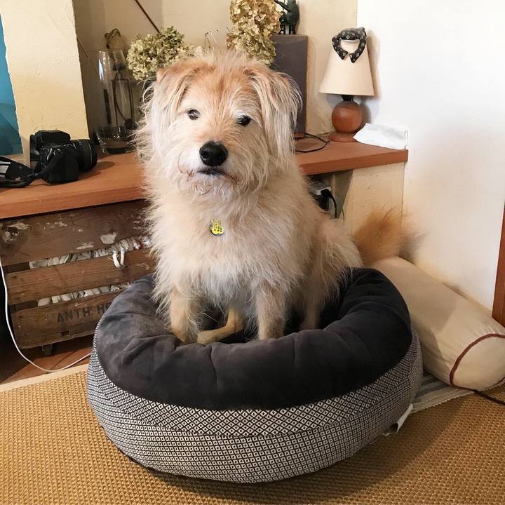 0915ff8c 457b 4b5c bd3e b03768cf6342 1580682486269