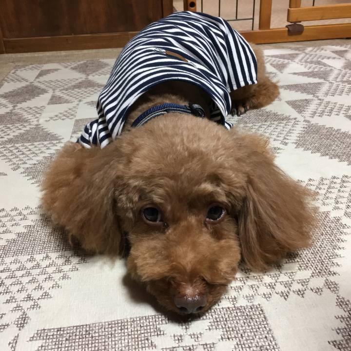 091625c9 6d8c 4c9d 800a 497db343ec97 1538995898842