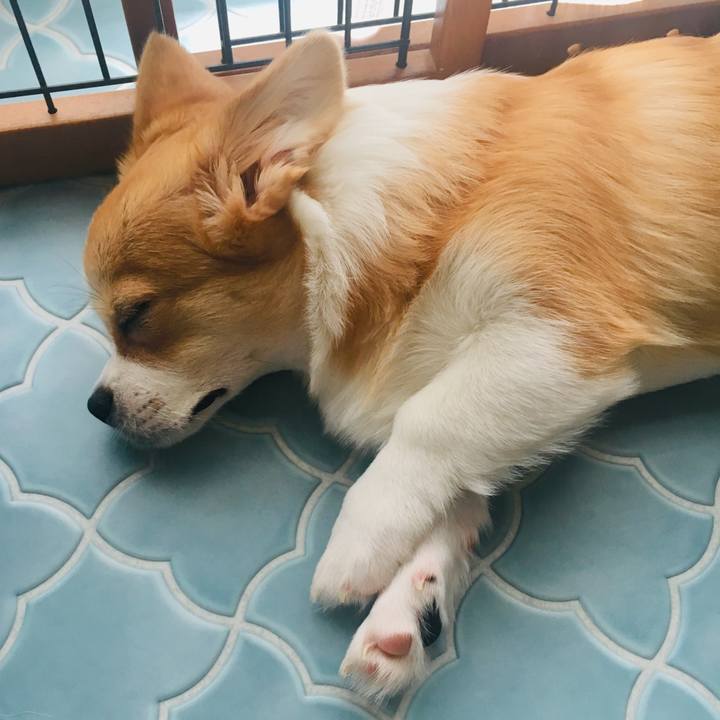 09162cd9 6d0a 4d38 a151 bc19b6df5022 1562549895908