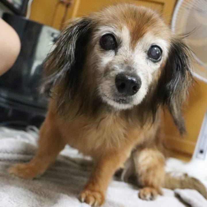 09165465 722d 4249 a527 09e7977080c6 1754258981980