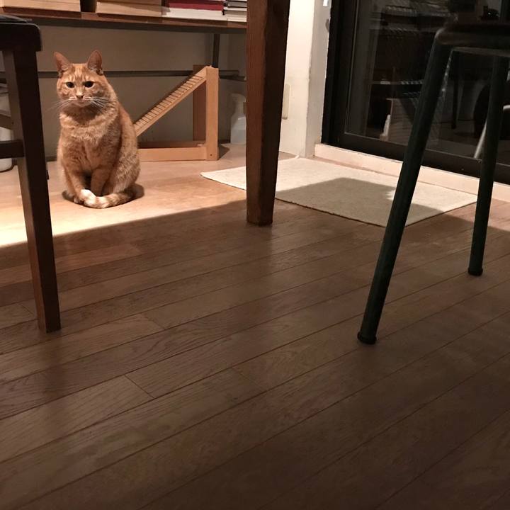 09168d35 a83b 42c0 85b6 8a40f0ebc2b2 1511778757335