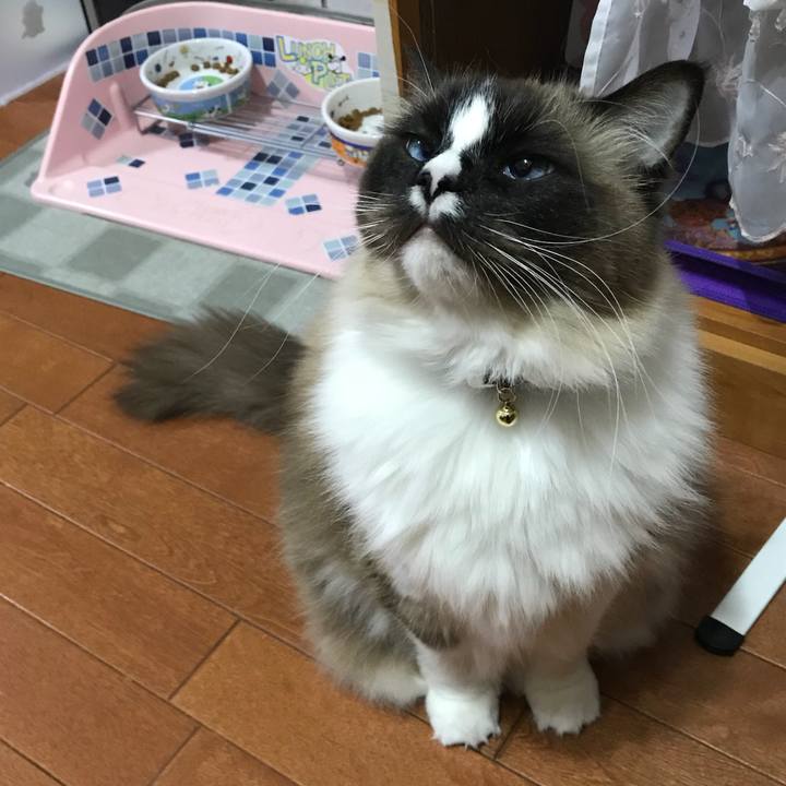 09170a22 f0b6 4449 96cc 9e2211d363f4 1517308964710