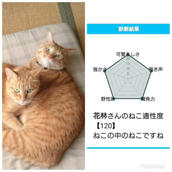 091729e8 63b1 41f1 9e4e 20ad4f28fbaf 1538693787173