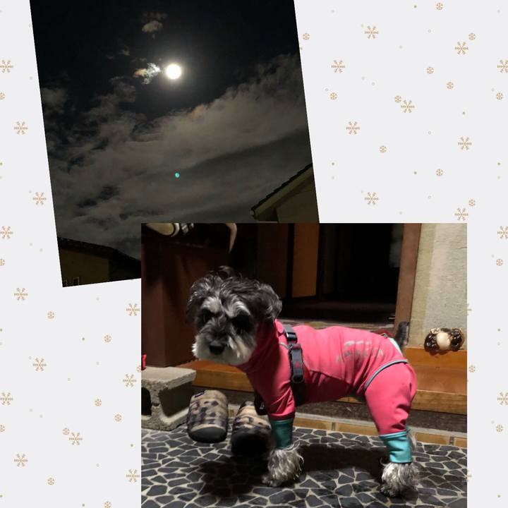 0917413b 68c3 432b 9c75 522ec875f003 1670334252422