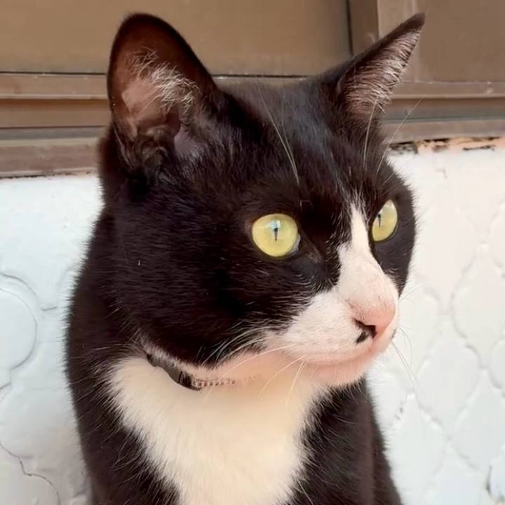 091771bb 4e5c 4c7f 8fe4 3330196ac4f2 1745200898518