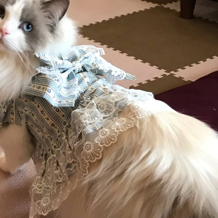 0917ae32 183b 4e24 b6c7 168ca1a20155 1585204719812