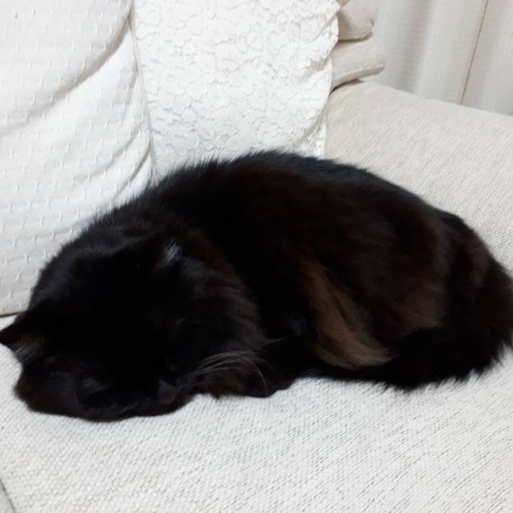 0917b7ae eb8c 403c 9469 67ab90f35083 1516915543696