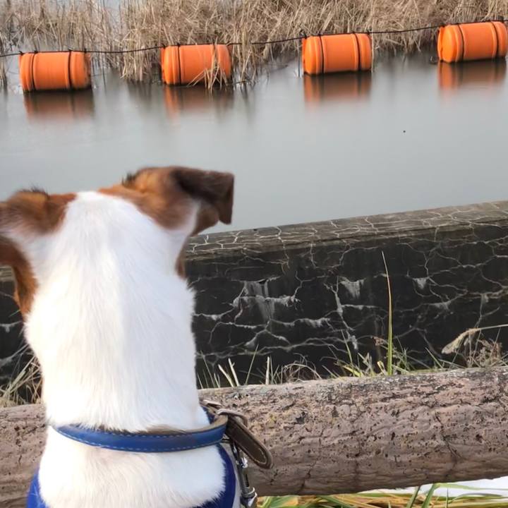 0917cd17 9429 472b 8a87 29e45522557c 1545809916638