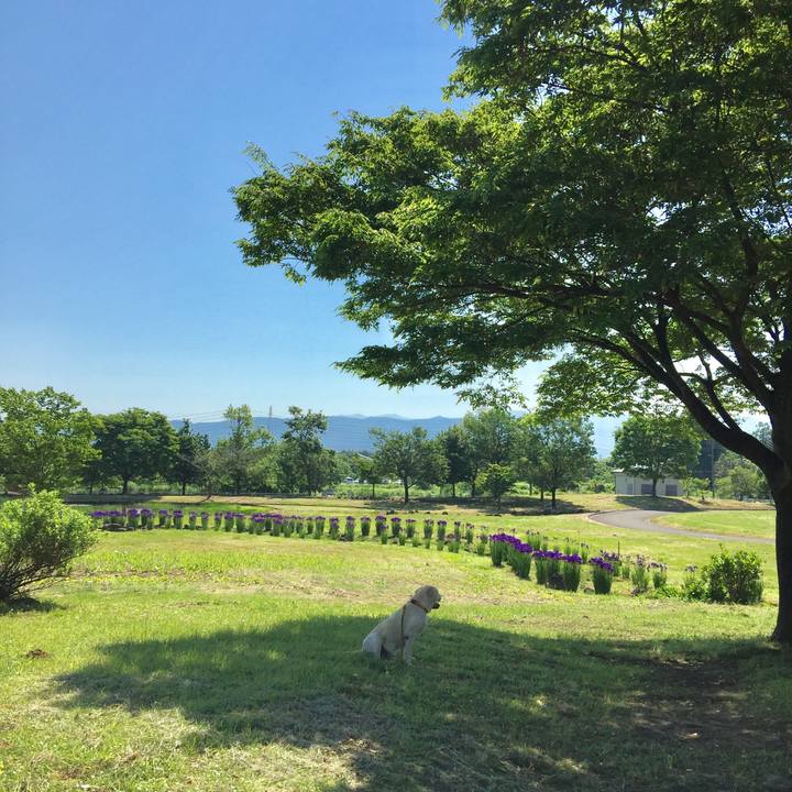 0917e638 04a6 4559 aa02 6adcf0cf448c 1526950281494