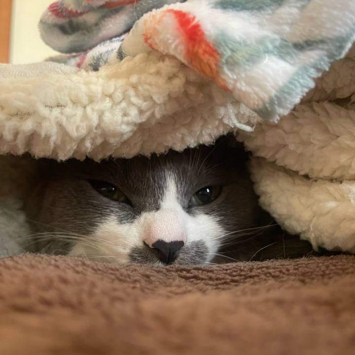 09181401 ac6d 4aa2 aac0 8c403ee0e065 1703458641739