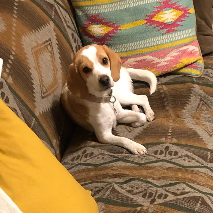 09182fc7 081a 44a9 b305 93814252c497 1543899795891