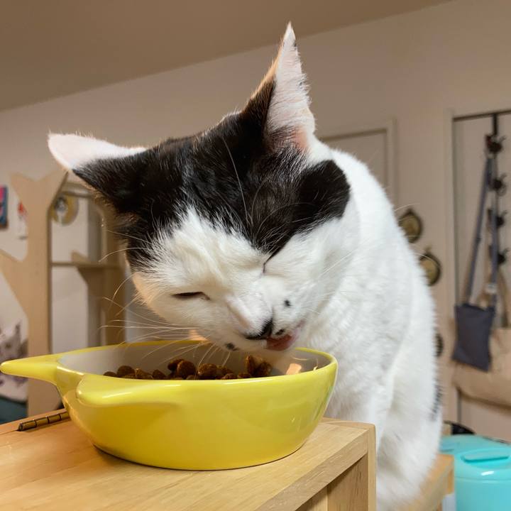 09184d37 7ebe 410f bc39 30f85082fa06 1764795376608