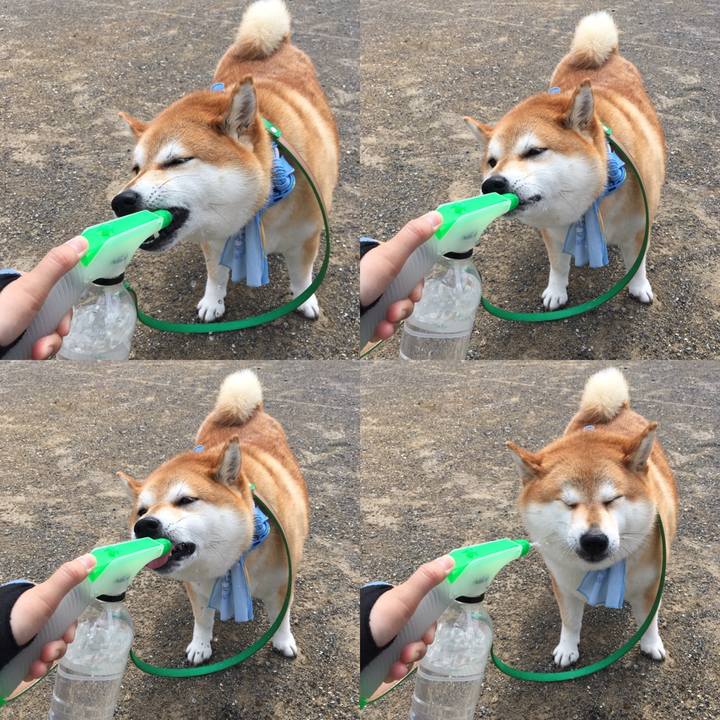 091850fb 8782 46ae bee5 d9f7cd481074 1599267852732