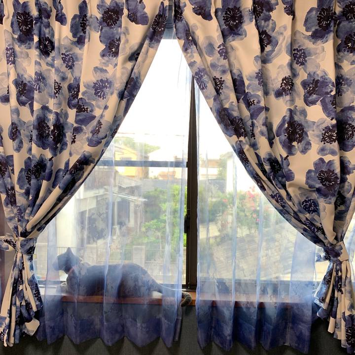 0918b4c2 66dd 40b2 9384 35ddbe04b315 1600319863682